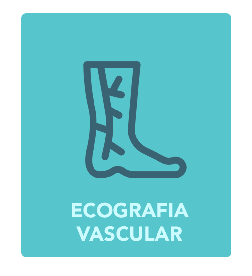 Ecografia vascular